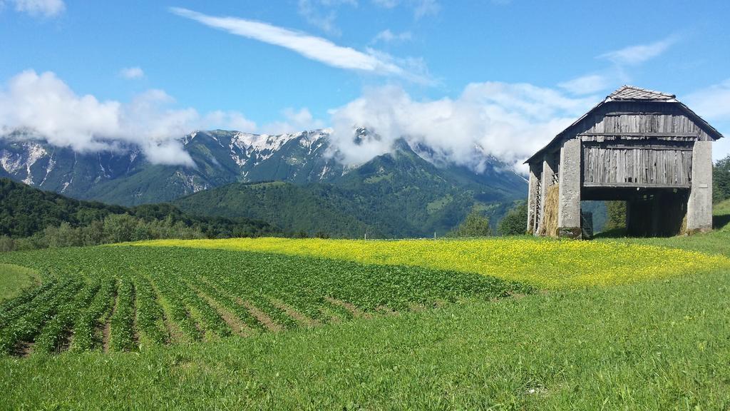 Apartmaji Pr-Gujlu Sela Nad Podmelcem 5220 Tolmin Podmelec Exterior photo